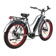 Lithium Battery Samung Electric Bike Fat Tire E Bike